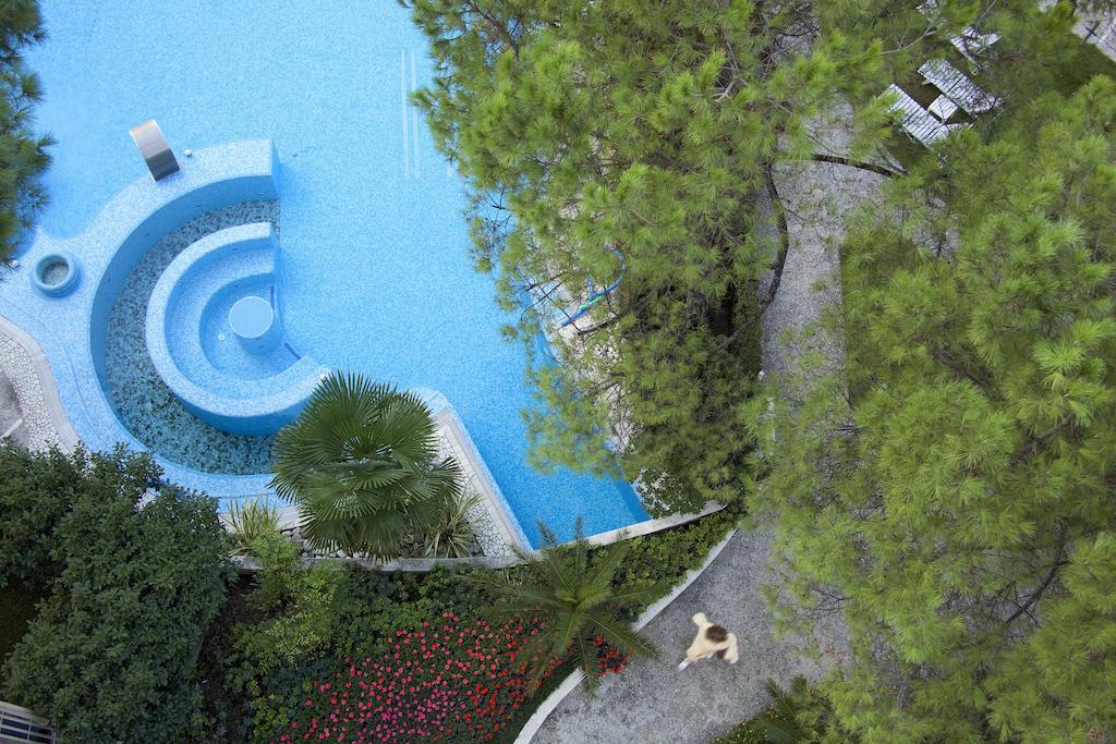 Bristol Buja Abano Terme